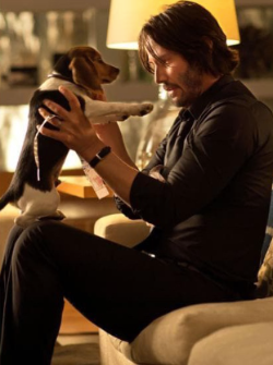 스크린샷 2024-12-27 오전 1.24.10.png