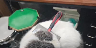 스크린샷 2024-12-21 오후 12.56.55.png