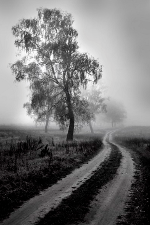 스크린샷 2024-12-25 오후 3.32.55.png