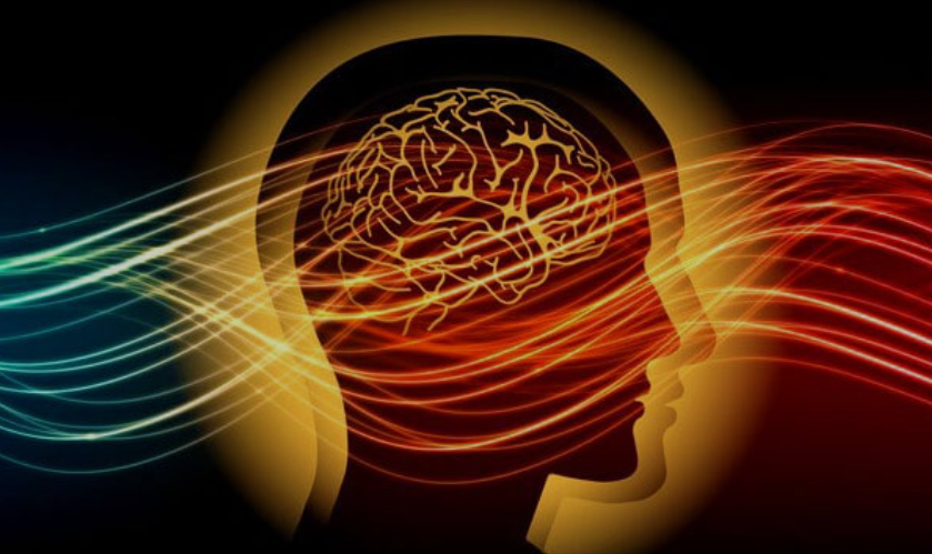 Screenshot 2025-04-29 10.53.47 PM.png