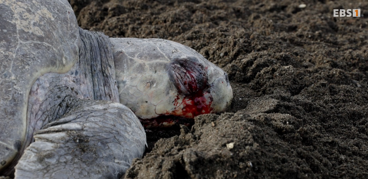 스크린샷 2024-12-25 201745.png