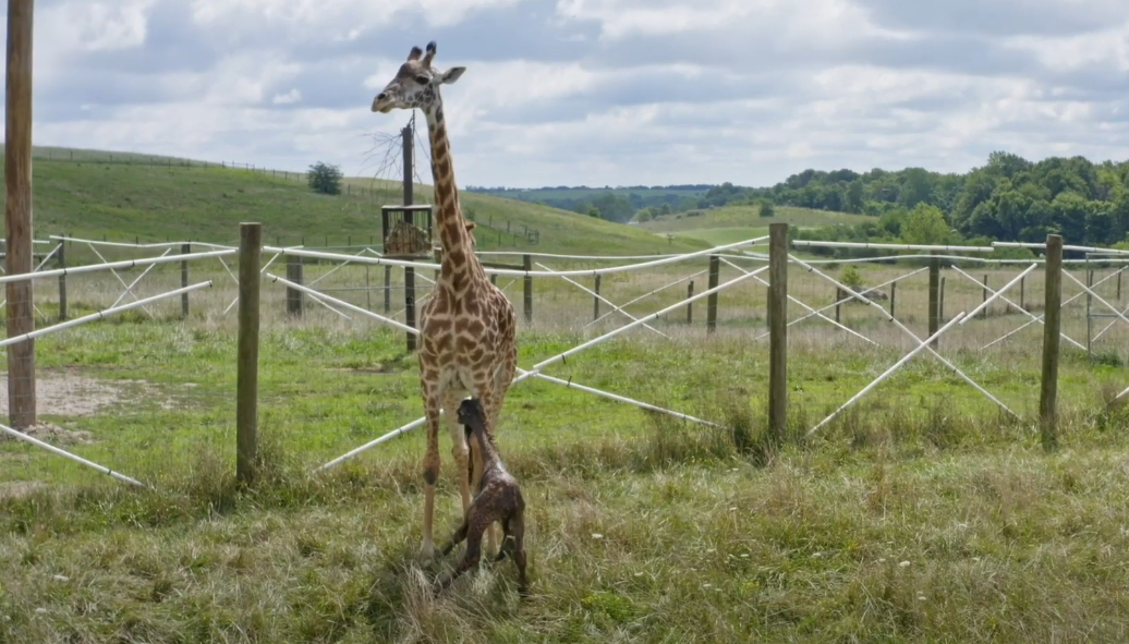 2025-10-09 152303.png