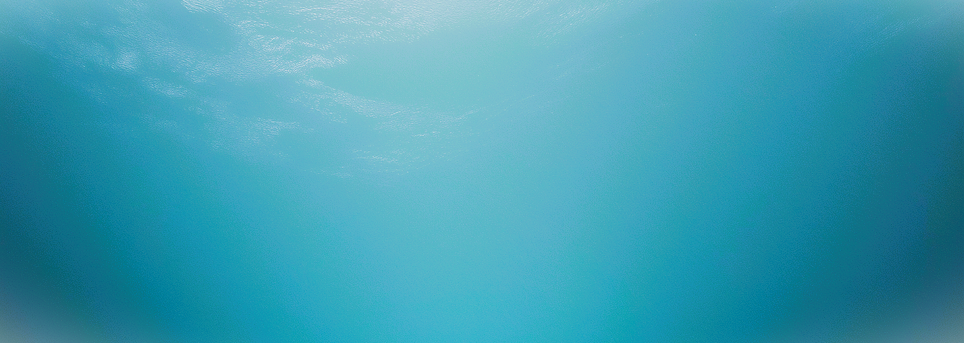 solitude-underwater-9293554_1280.png