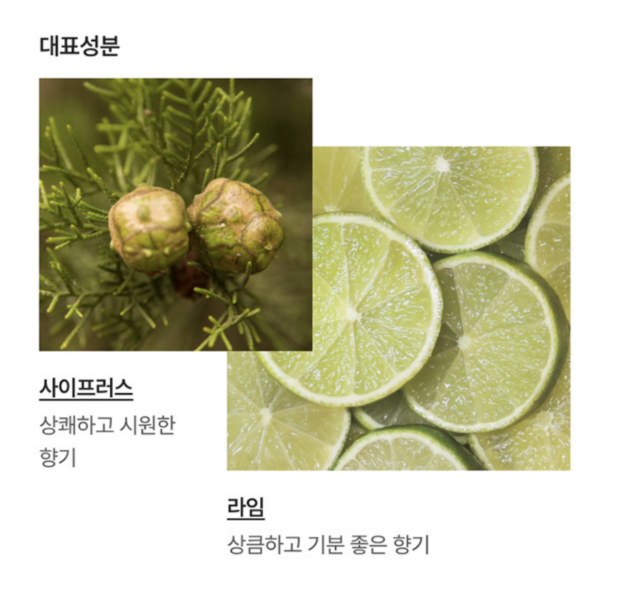 스크린샷 2025-10-02 오후 8.40.00.png