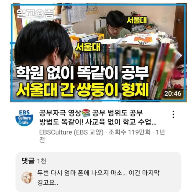 서울대 쌍둥이.png