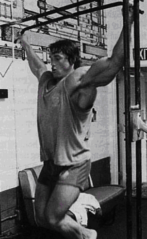 Arnold-Wide.png