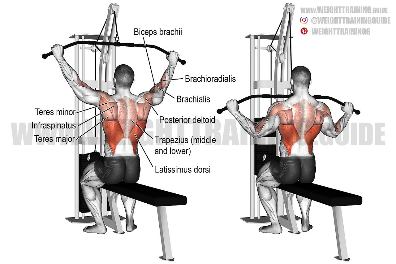 wide-grip-lat-pull-down-resized.png