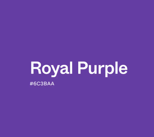 화면 캡처 2025-02-25 004911.png