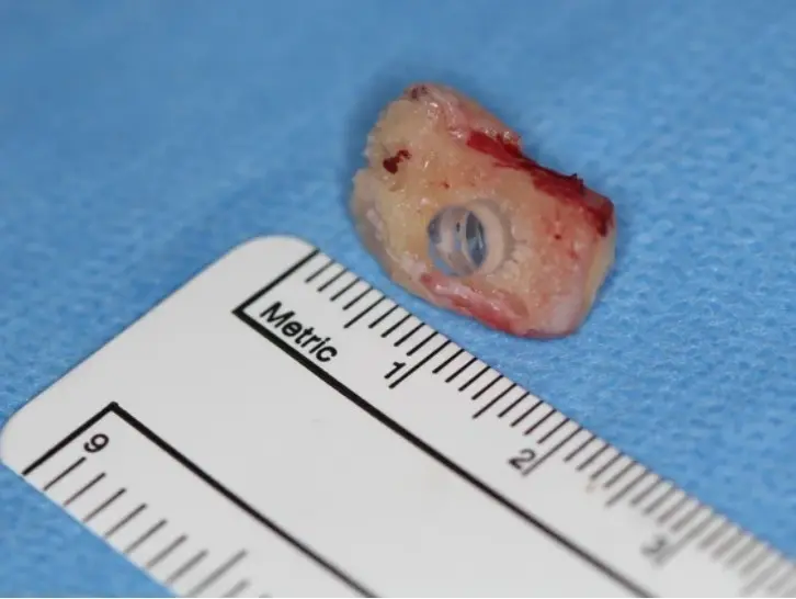 세인트폴 재단 프로비던스 헬스케어 페이스북 Providence Health Care.png