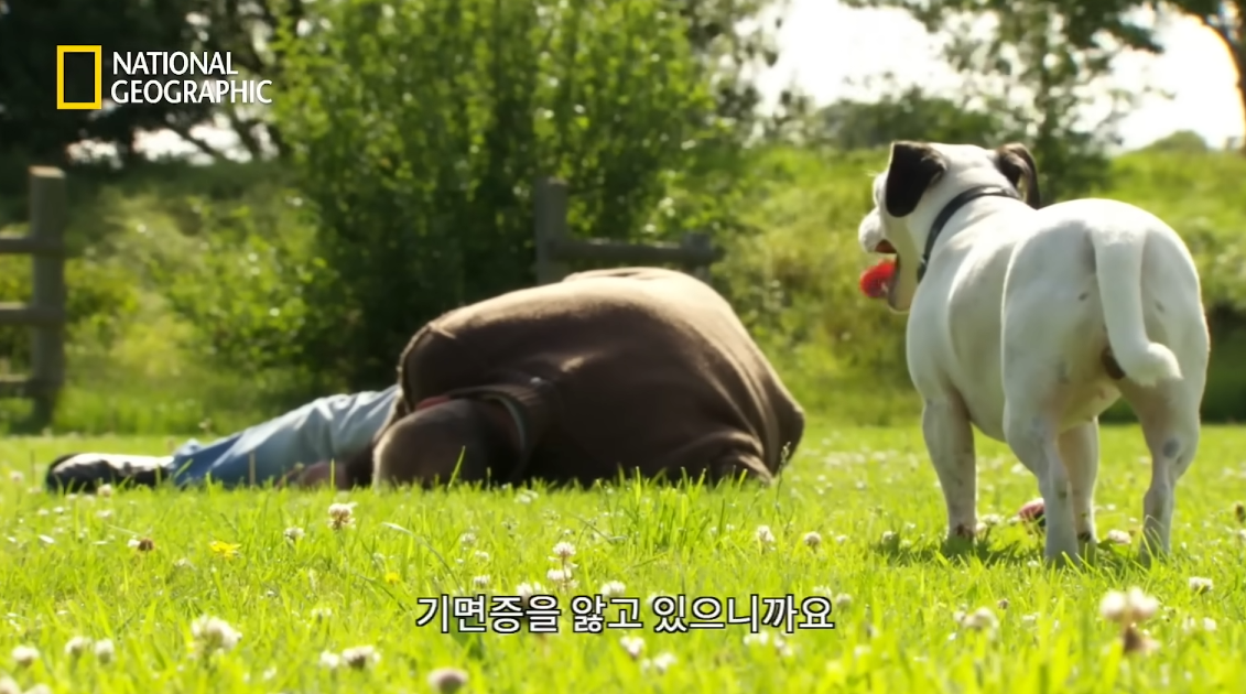 네셔널 지우그래픽 기면증.png