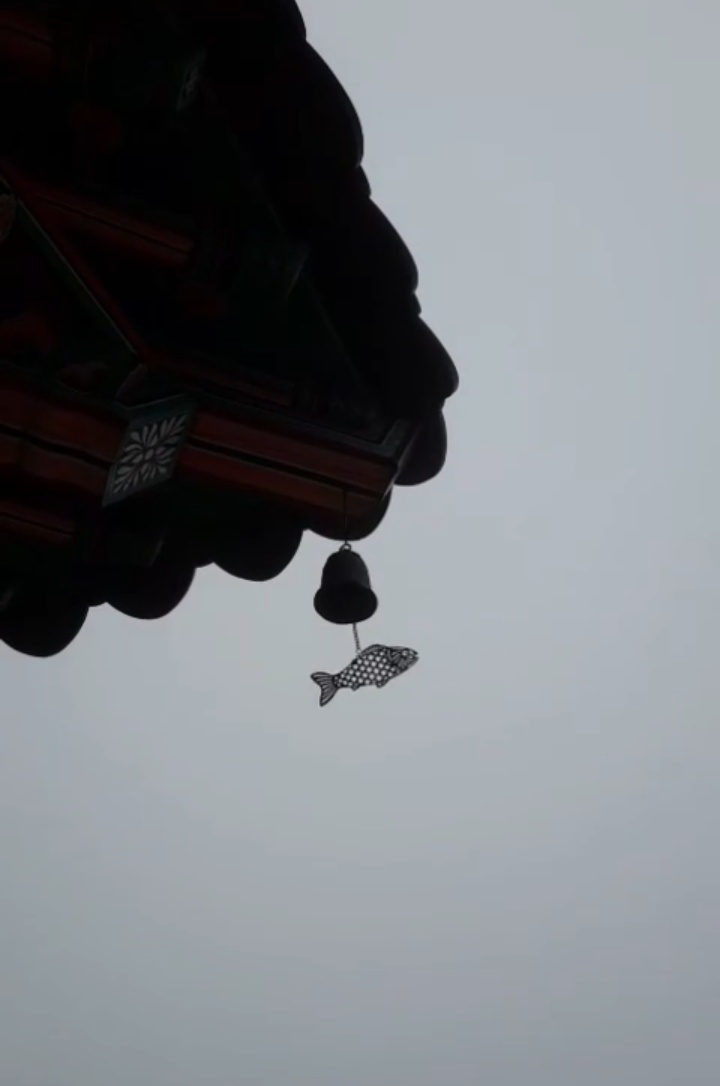 하늘속을 헤어치는 물고기.png