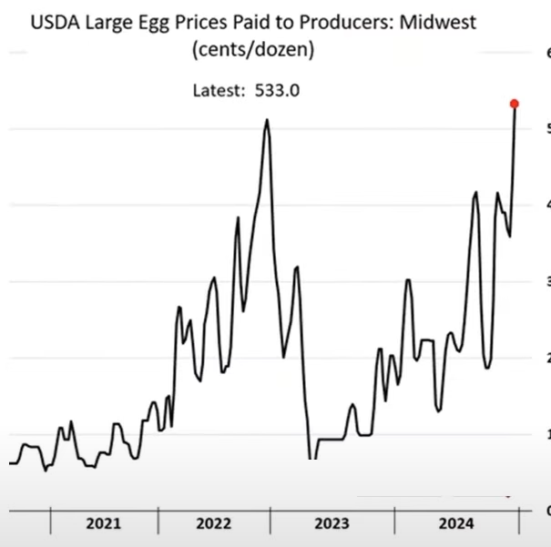 스크린샷 2025-01-20 101756.png