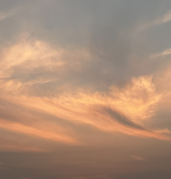 스크린샷 2025-02-19 174819.png