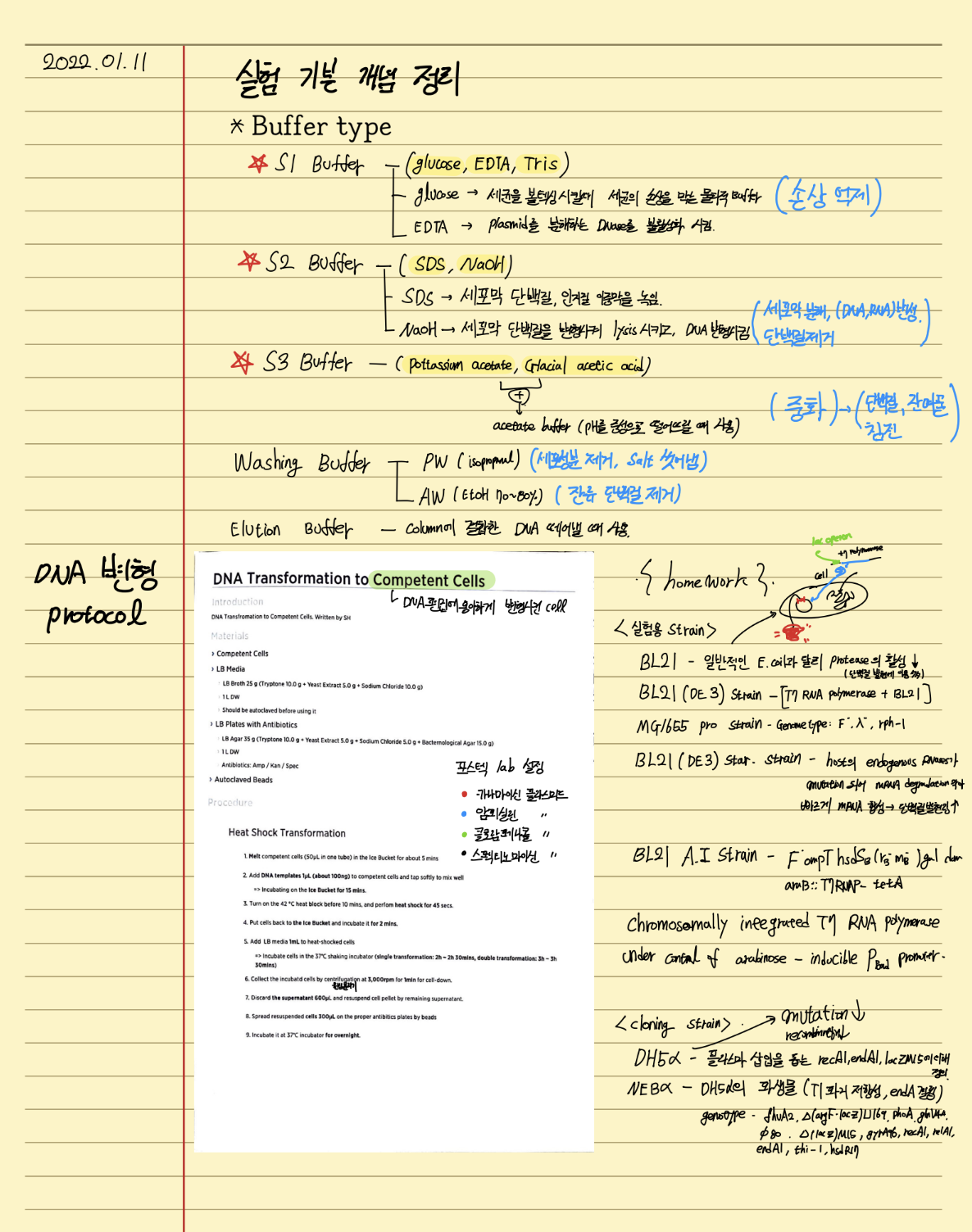 스크린샷 2025-01-23 오후 3.16.56.png