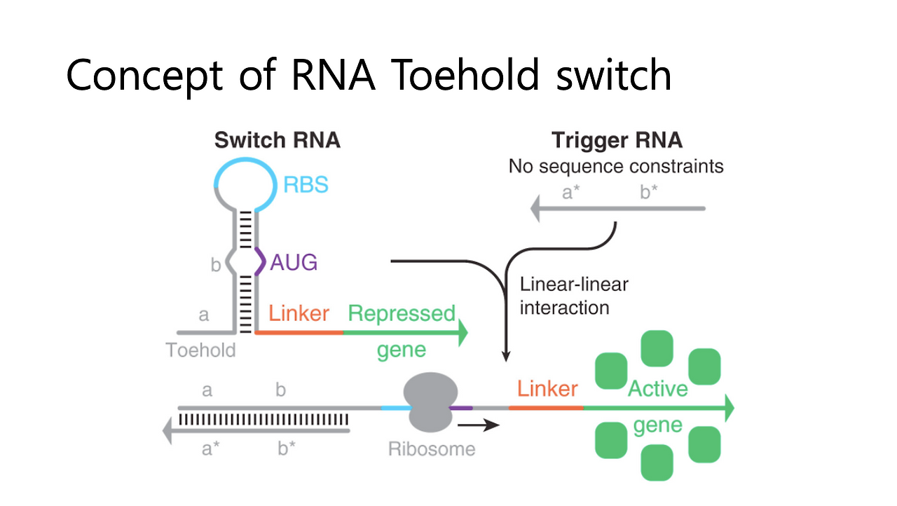 스크린샷 2025-01-23 오후 3.23.52.png