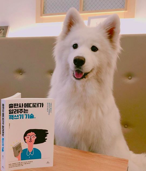 스크린샷 2020-01-09 오전 6.16.11.png