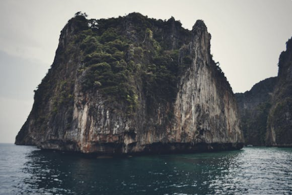 화면 캡처 2025-01-24 113537.png