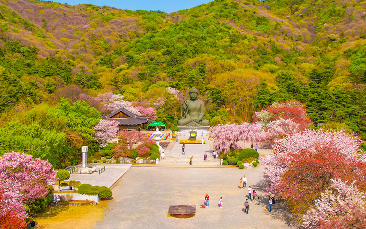 좌불상왕벗 청청동대좌불 각원사 천안시2.png