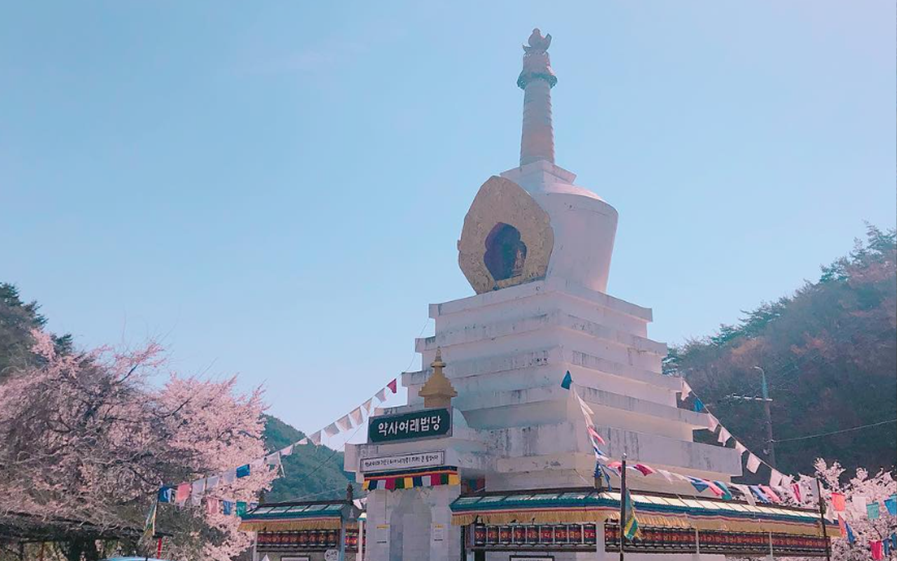 대원사 벚꽃축제 약사여래법당 인스타.png