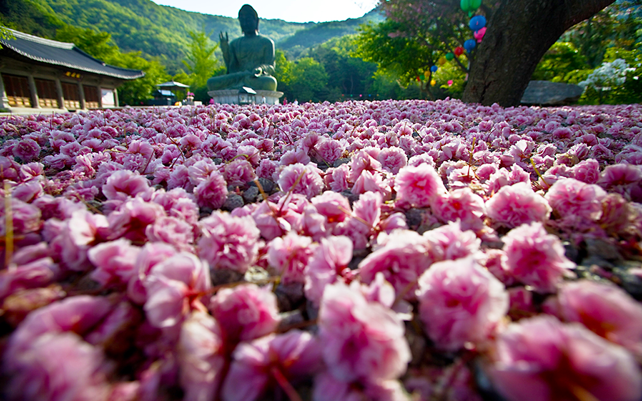 좌불상왕벗 청청동대좌불 각원사 천안시.png