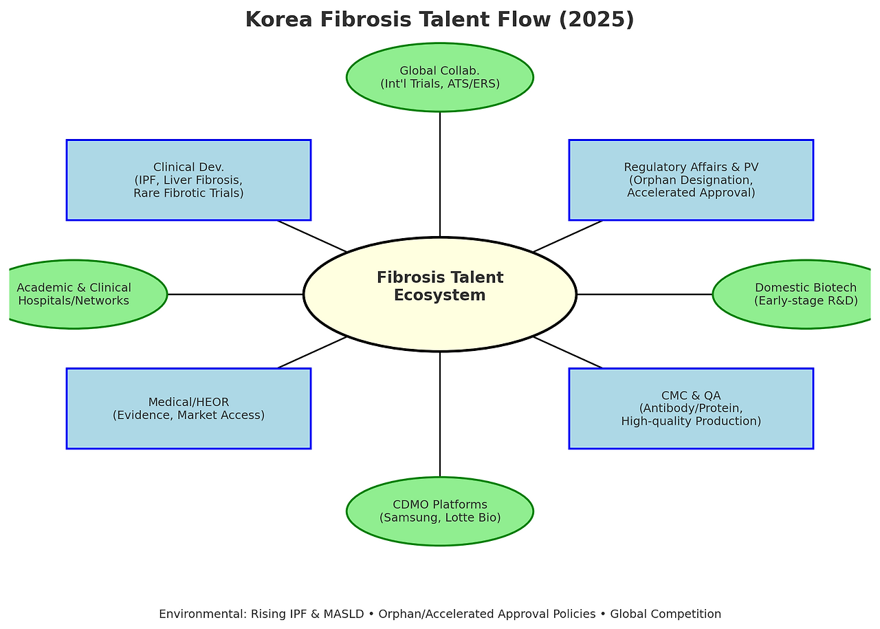 국내 바이오 인재 동향 리포트 4. Fibrosis 전체 모식도.png