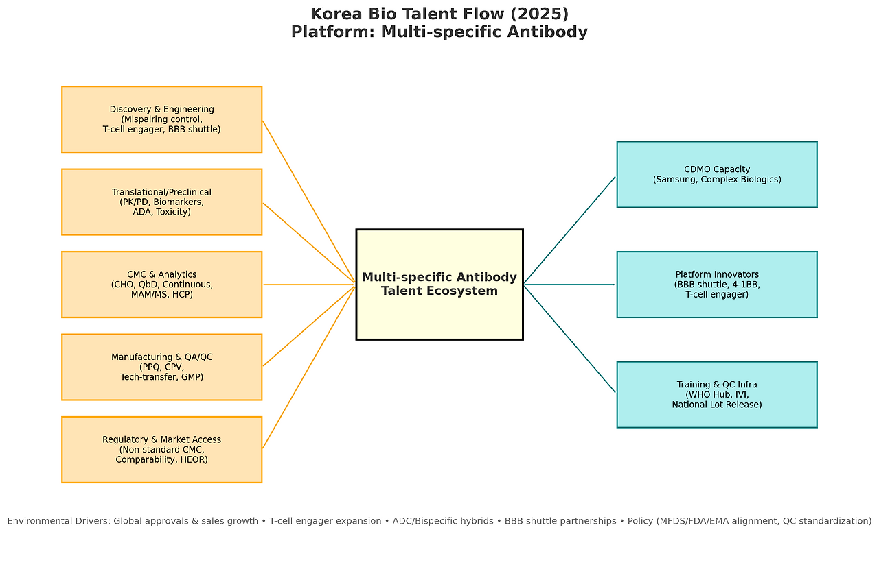 국내 바이오 인재 동향 리포트 플랫폼 2. Multi-specific Antibody.png