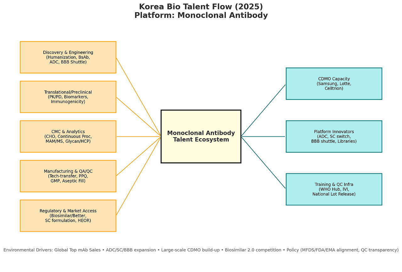 국내 바이오 인재 동향 리포트 플랫폼 1. Monoclonal Antibody.png