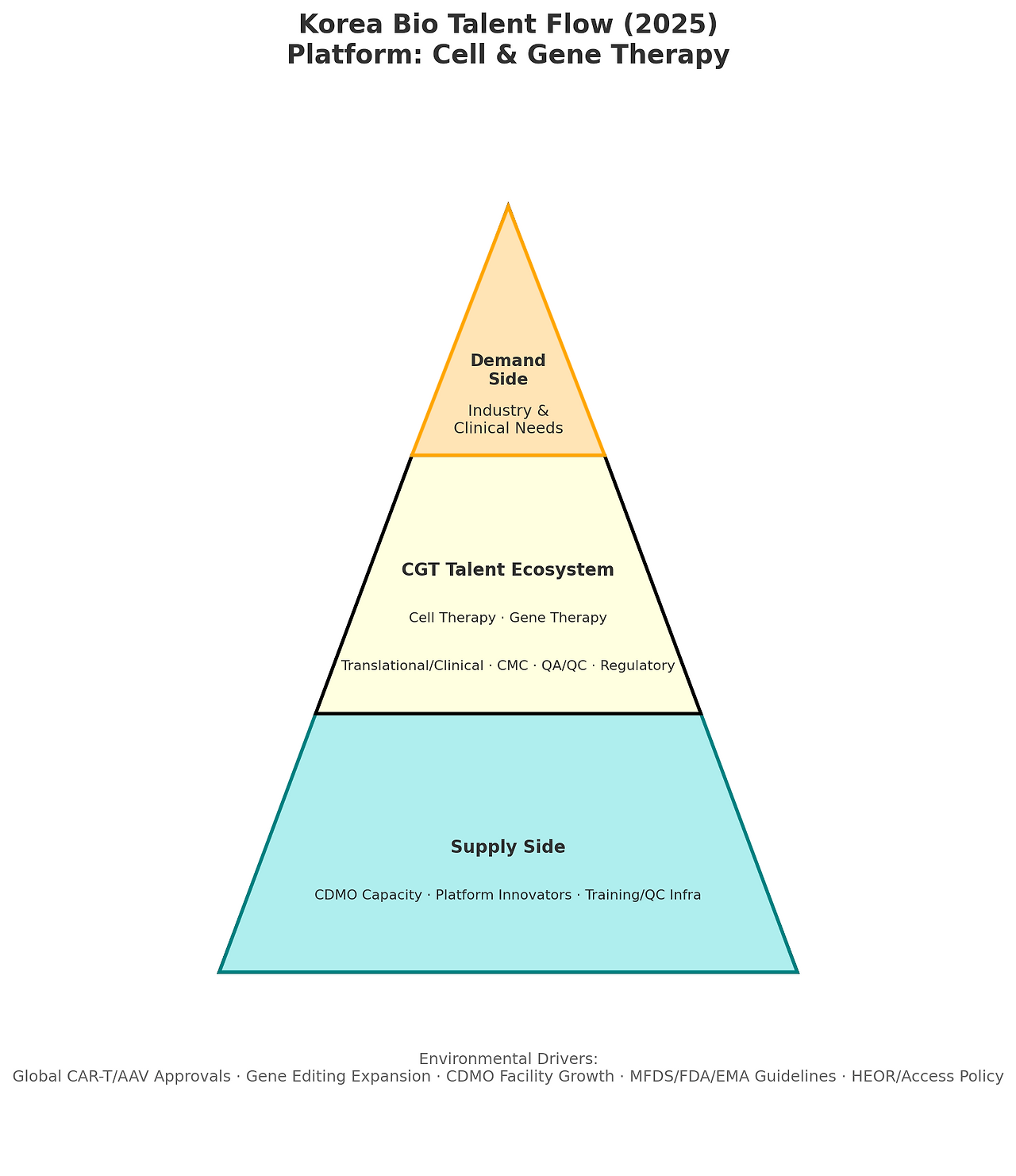 국내 바이오 인재 동향 리포트 플랫폼 4. Cell & Gene Therapy.png