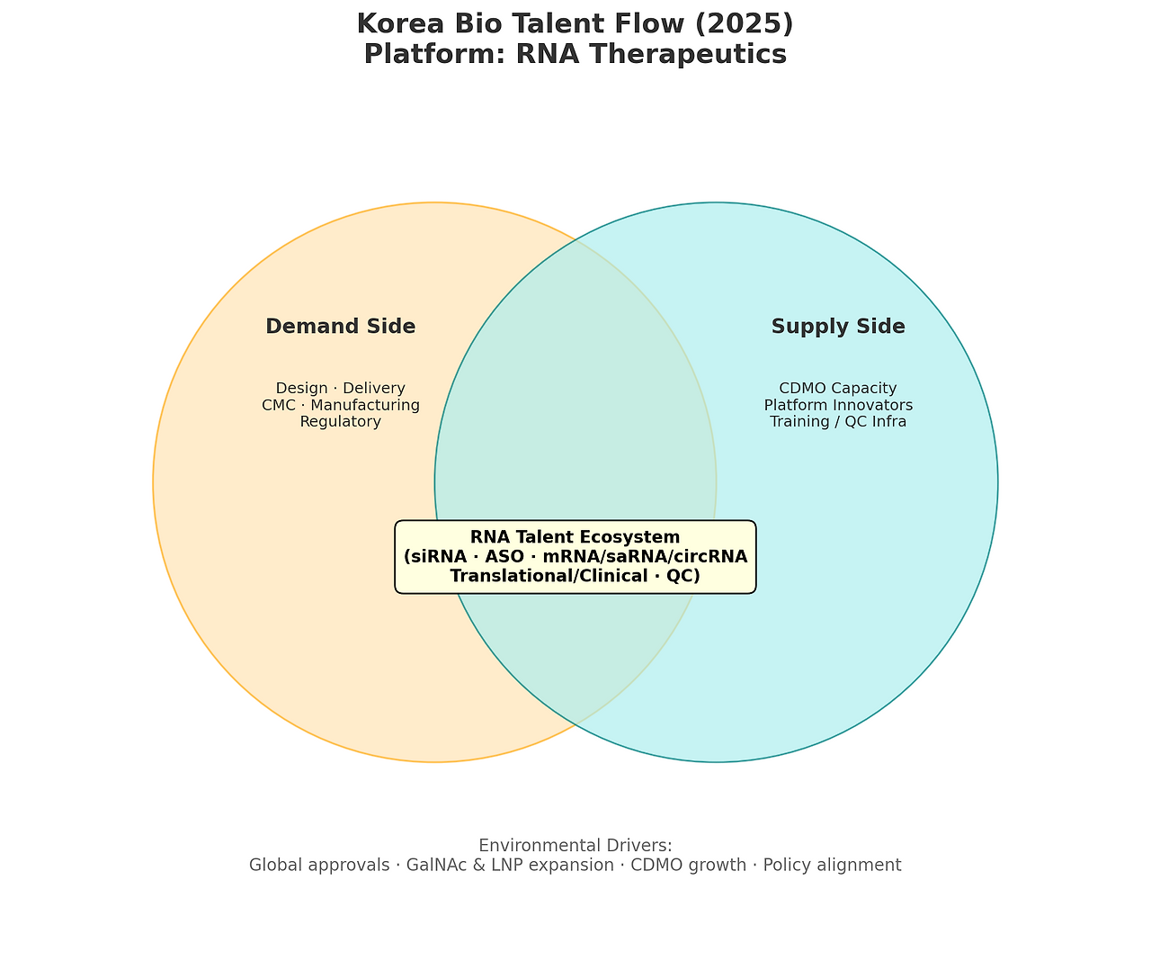 국내 바이오 인재 동향 리포트 플랫폼 5. RNA Therapeutics.png