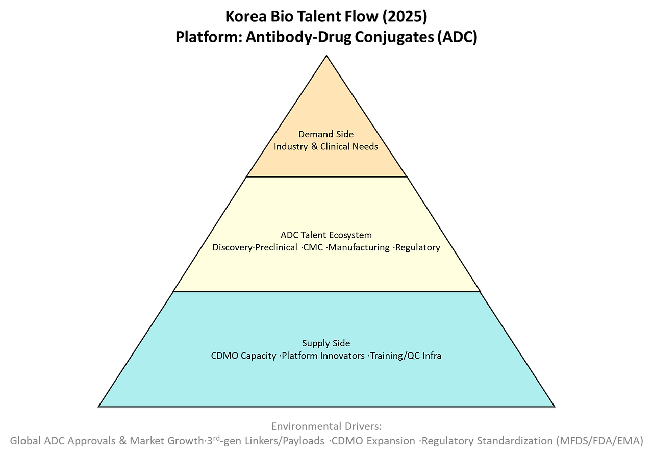국내 바이오 인재 동향 리포트 플랫폼 3. Antibody-Drug Conjugates.png