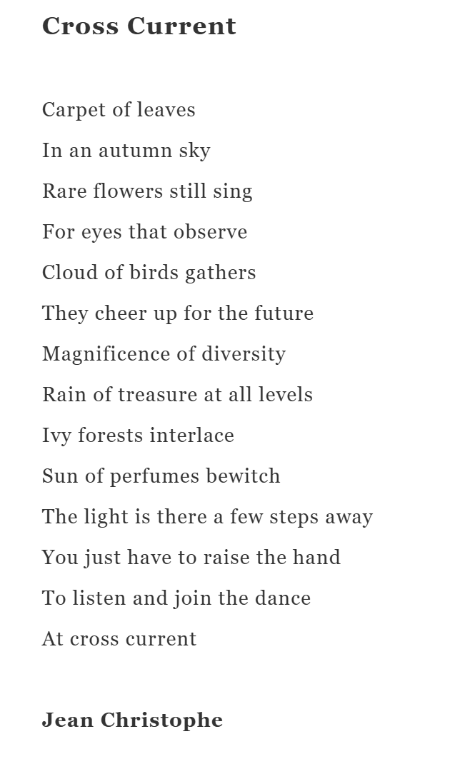 Screenshot 2025-09-20 183016.png