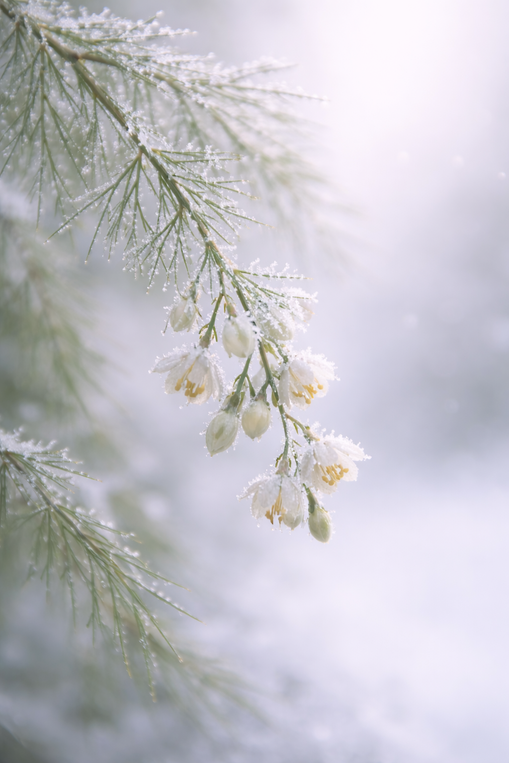 ChatGPT Image 2025년 12월 28일 오전 07_09_41.png