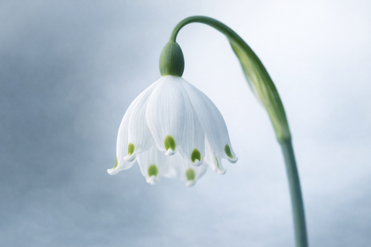 ChatGPT Image 2026년 1월 21일 오전 07_16_55.png