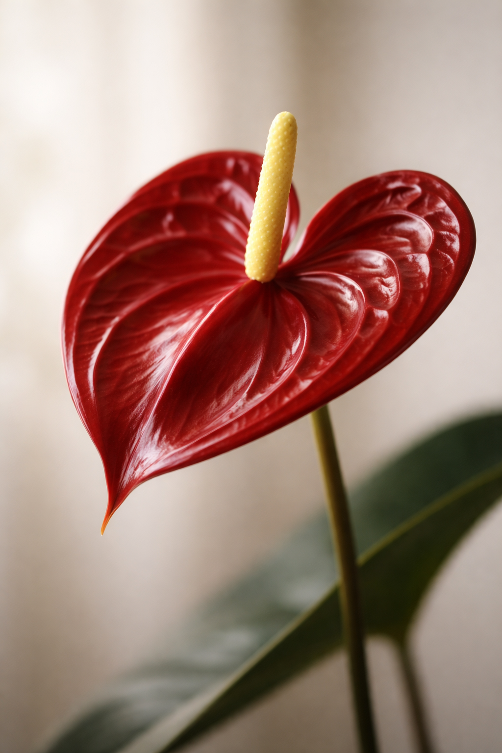 ChatGPT Image 2026년 1월 14일 오전 07_11_00.png