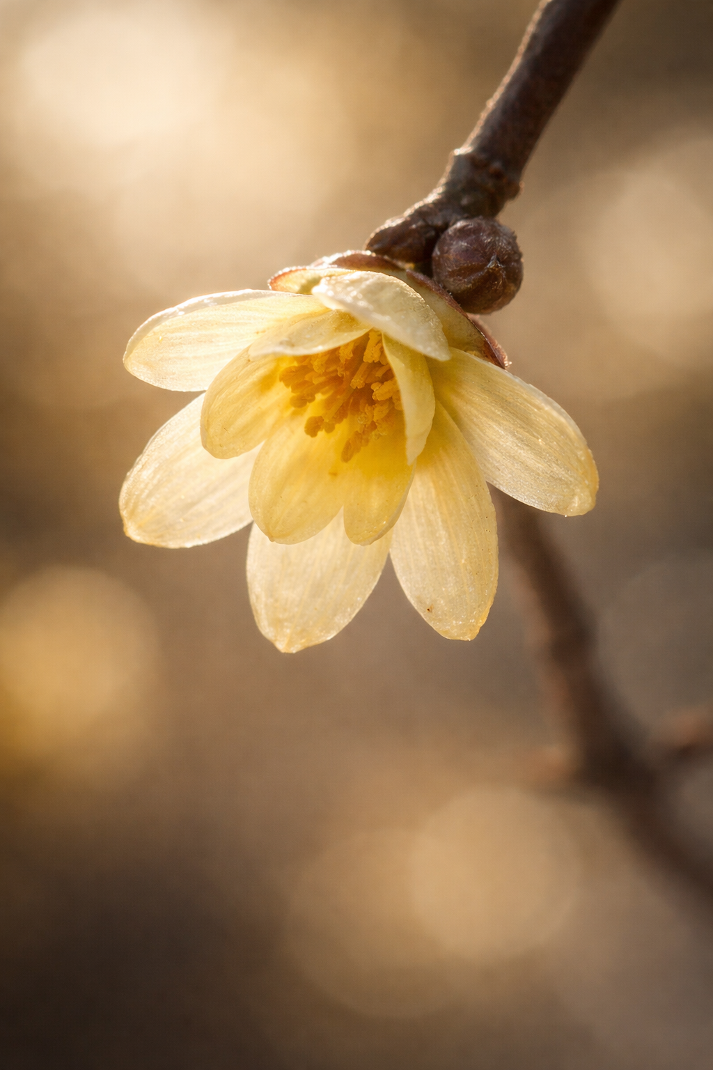 ChatGPT Image 2026년 1월 1일 오전 06_48_43.png