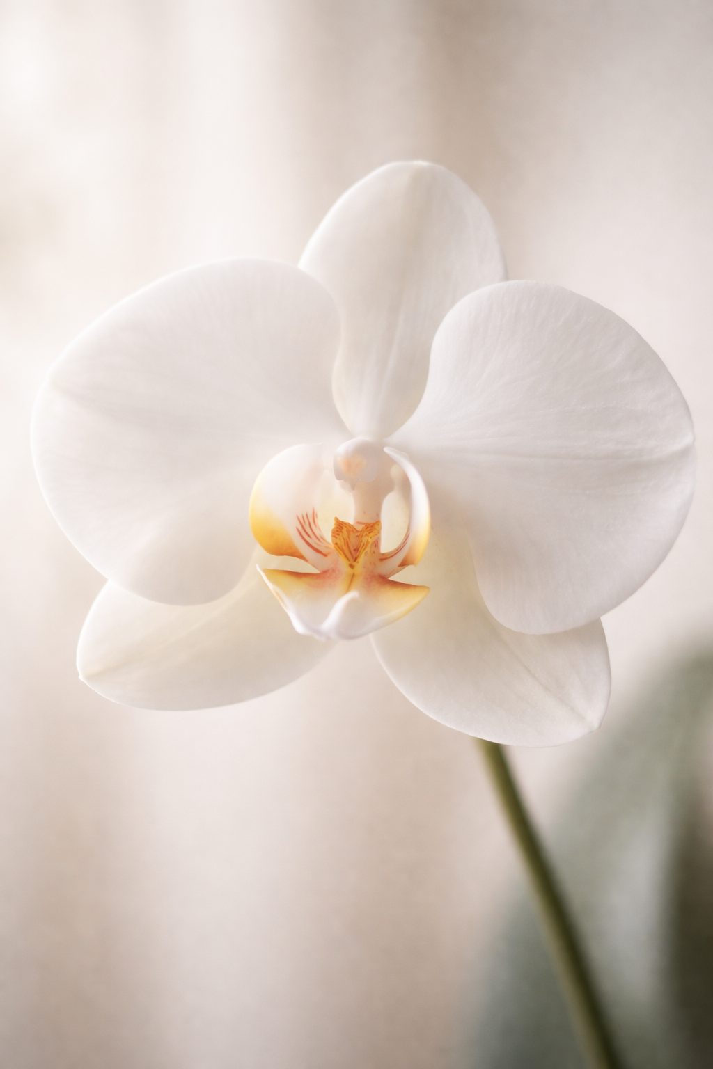 ChatGPT Image 2026년 1월 15일 오전 06_46_24.png