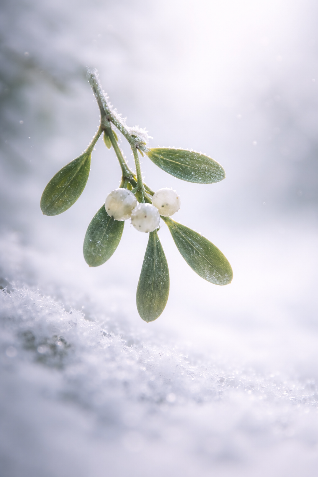 ChatGPT Image 2025년 12월 25일 오전 06_45_40.png