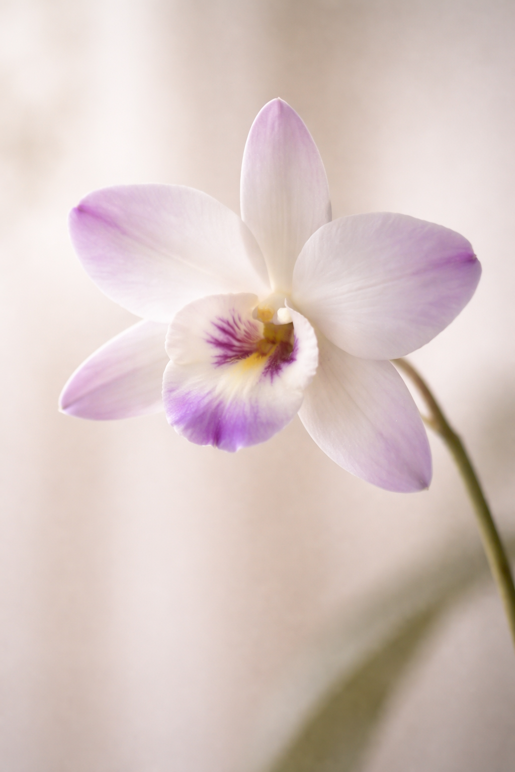 ChatGPT Image 2026년 1월 16일 오전 06_51_45.png