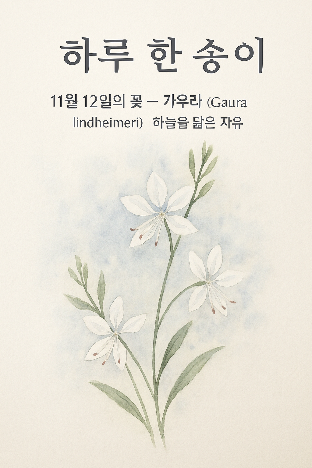 ChatGPT Image 2025년 11월 12일 오전 06_56_25.png