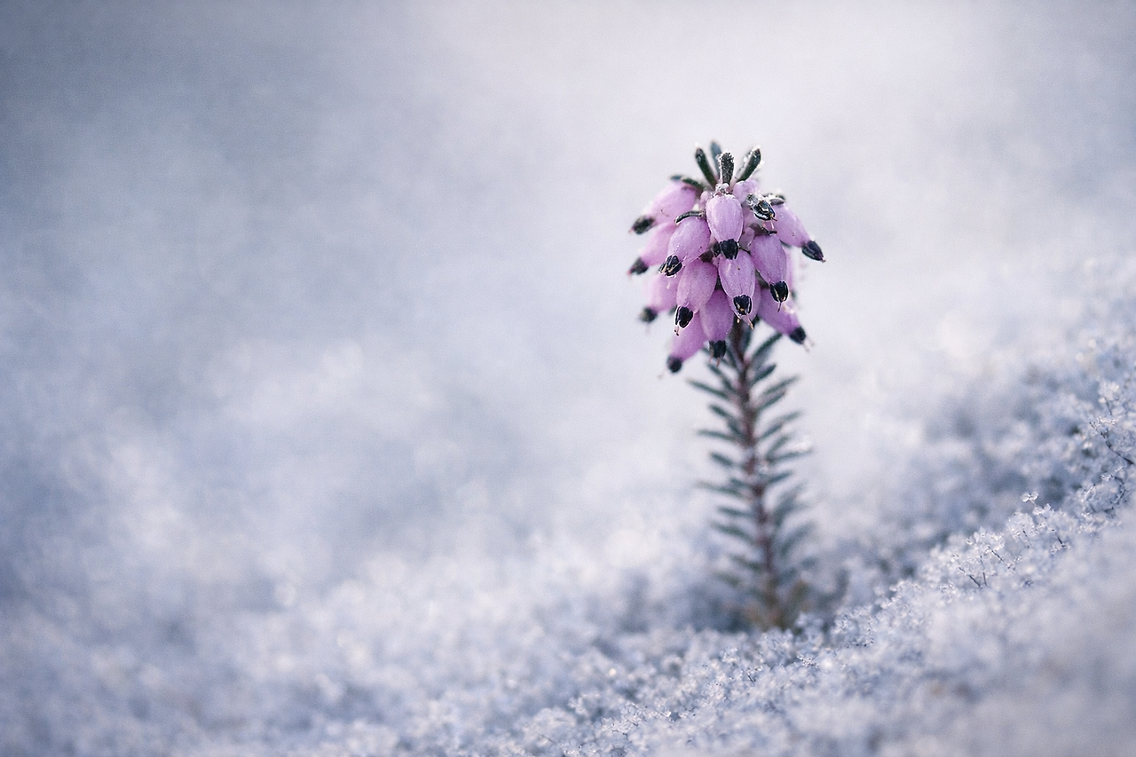 ChatGPT Image 2026년 1월 3일 오전 08_17_39.png