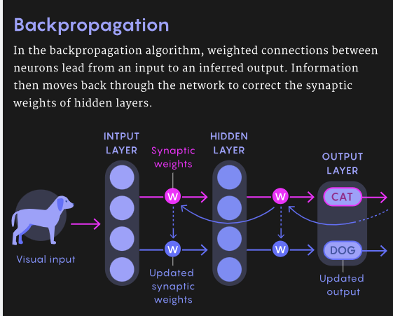Backpropagation.png