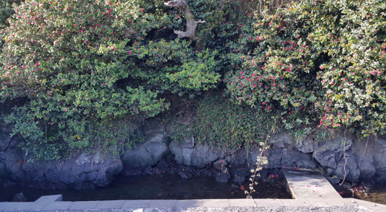 2코스 족지물.png