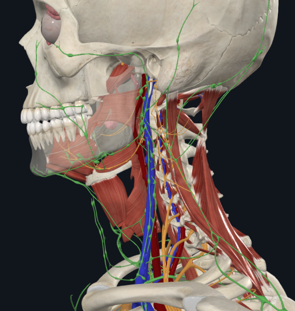 화면 캡처 2025-11-24 101457.png