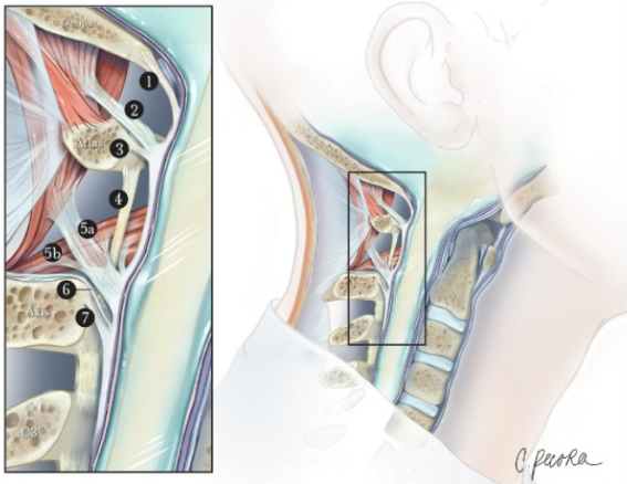 화면 캡처 2026-01-07 181659.png