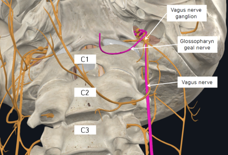 화면 캡처 2025-12-19 132950.png
