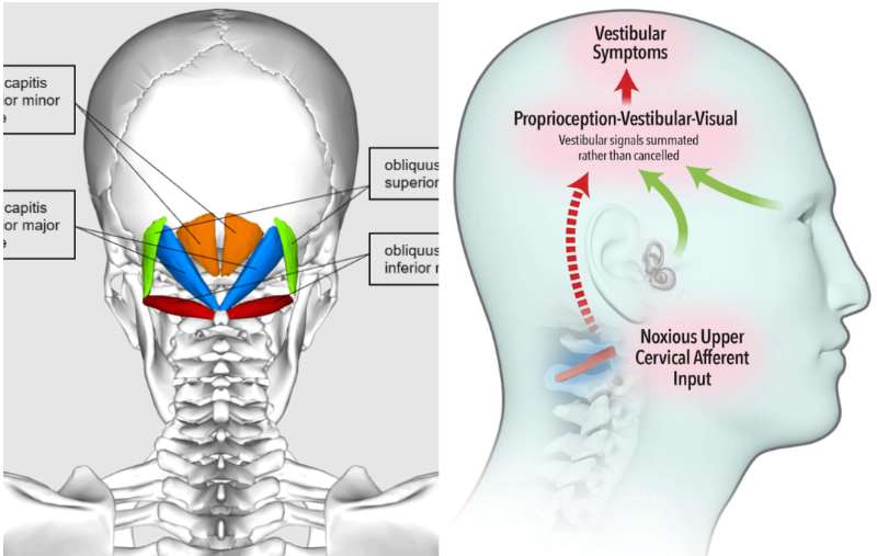 화면 캡처 2025-12-31 160040.png