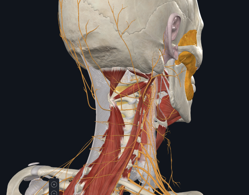 화면 캡처 2025-12-10 180737.png