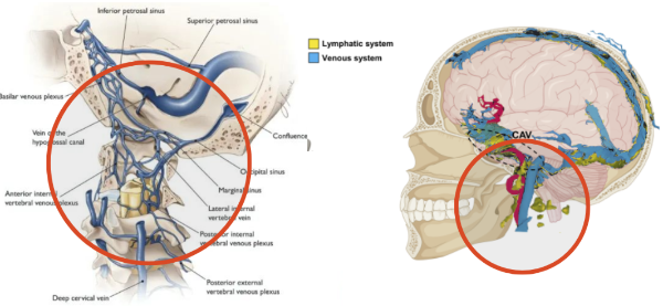 화면 캡처 2025-11-03 174346.png