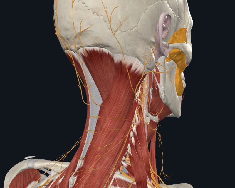 화면 캡처 2025-12-10 163616.png