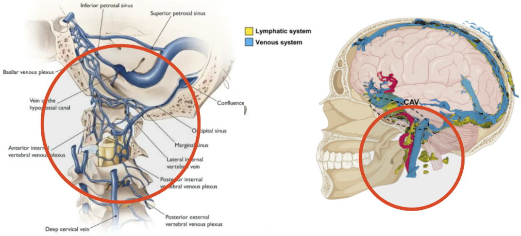 화면 캡처 2025-11-24 111143.png